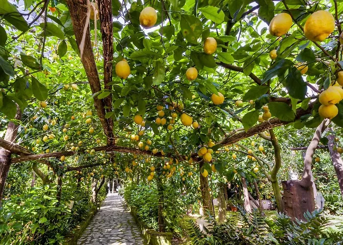 Maresca 4* Piano di Sorrento