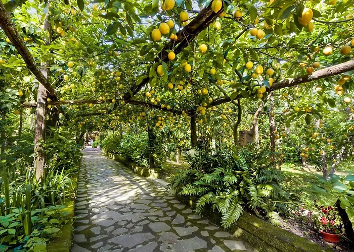 Bed & Breakfast Maresca