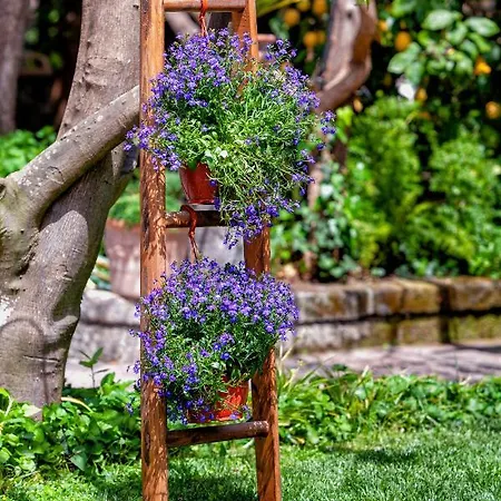 Maresca Bed and Breakfast 4*