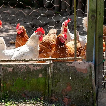 Maresca 4* Πιάνο ντι Σορέντο