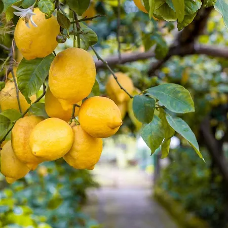 Maresca 4* 피아노 디 소렌토