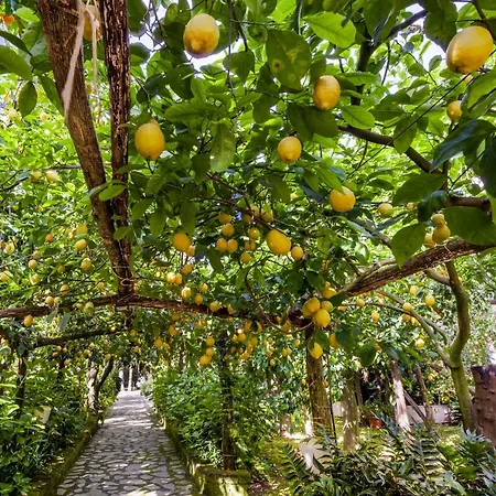 Maresca 4* Piano di Sorrento