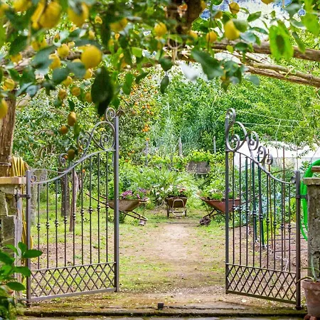 Bed & Breakfast Maresca Piano di Sorrento