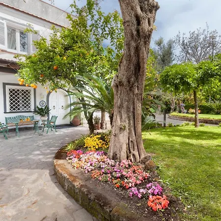 Maresca Piano di Sorrento