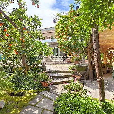 B&B Maresca 4*