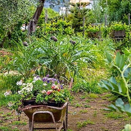 Maresca Bed & Breakfast Piano di Sorrento